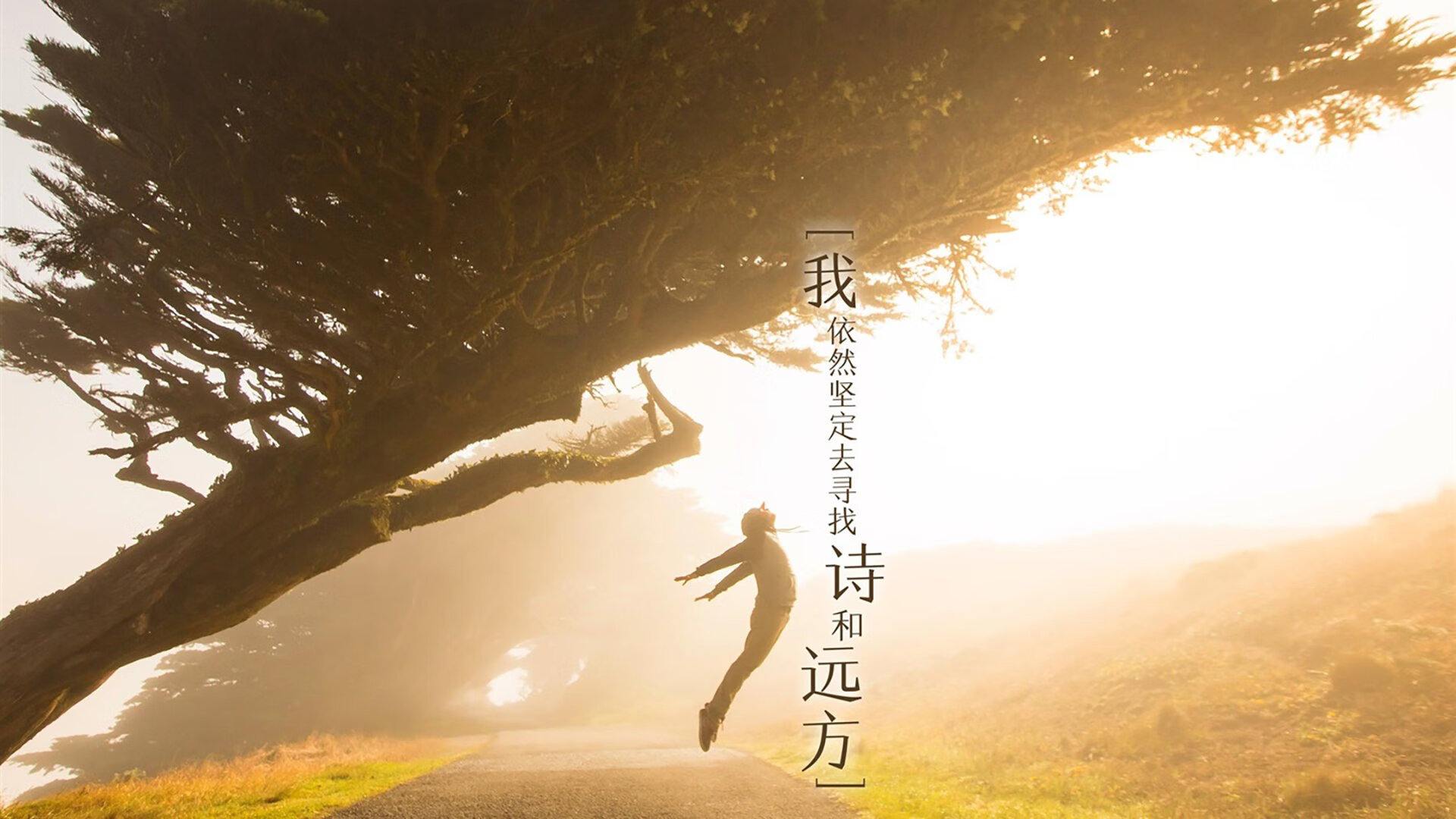 世俱杯官方-奥尔良主场遭遇失利，球队遇挫，欧战资格或岌岌可危，奥尔良是谁