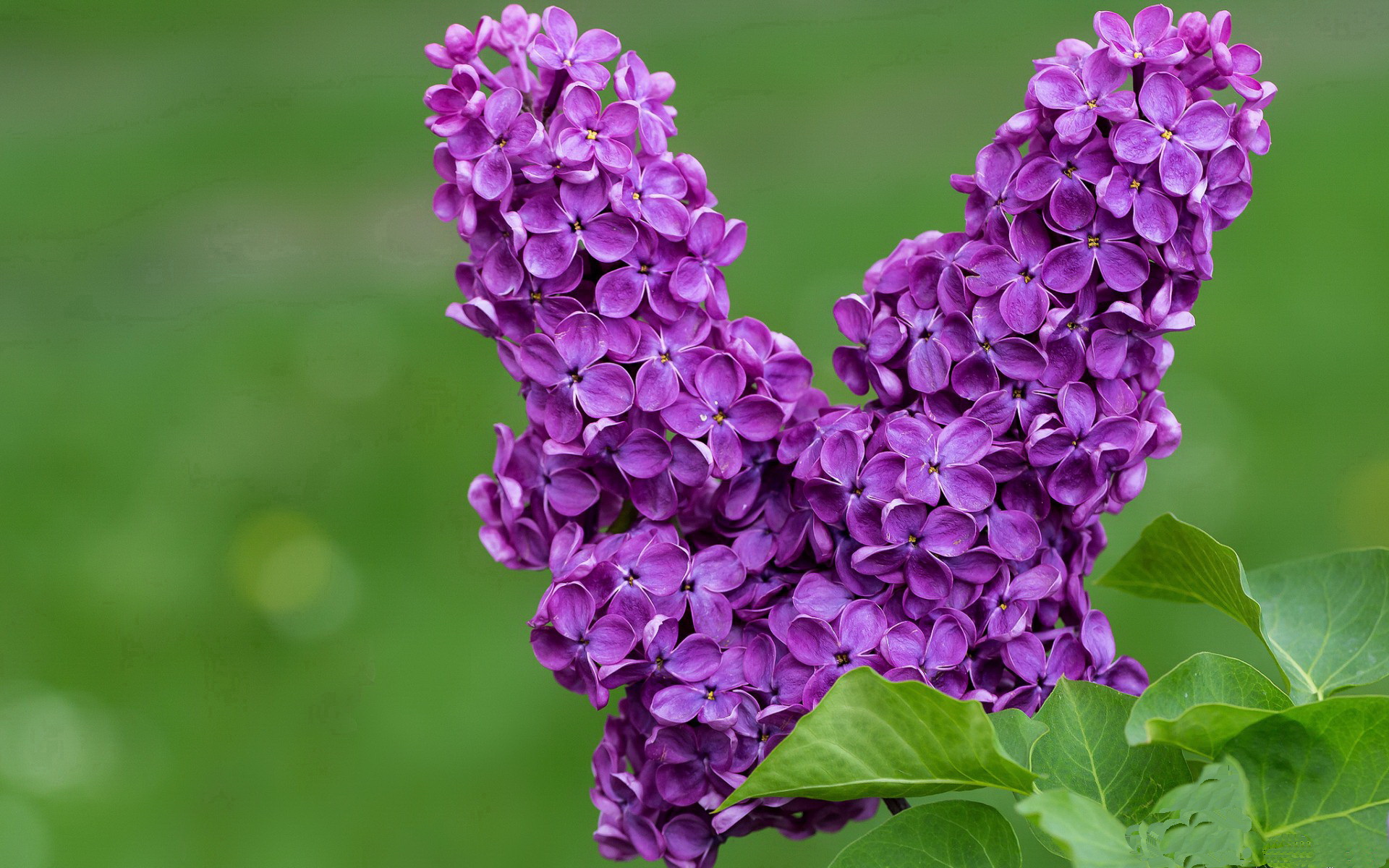 足球世俱杯-数字化足球青训课后辅导平台持续优化，提升青少年运动能力，足球青训数据统计app