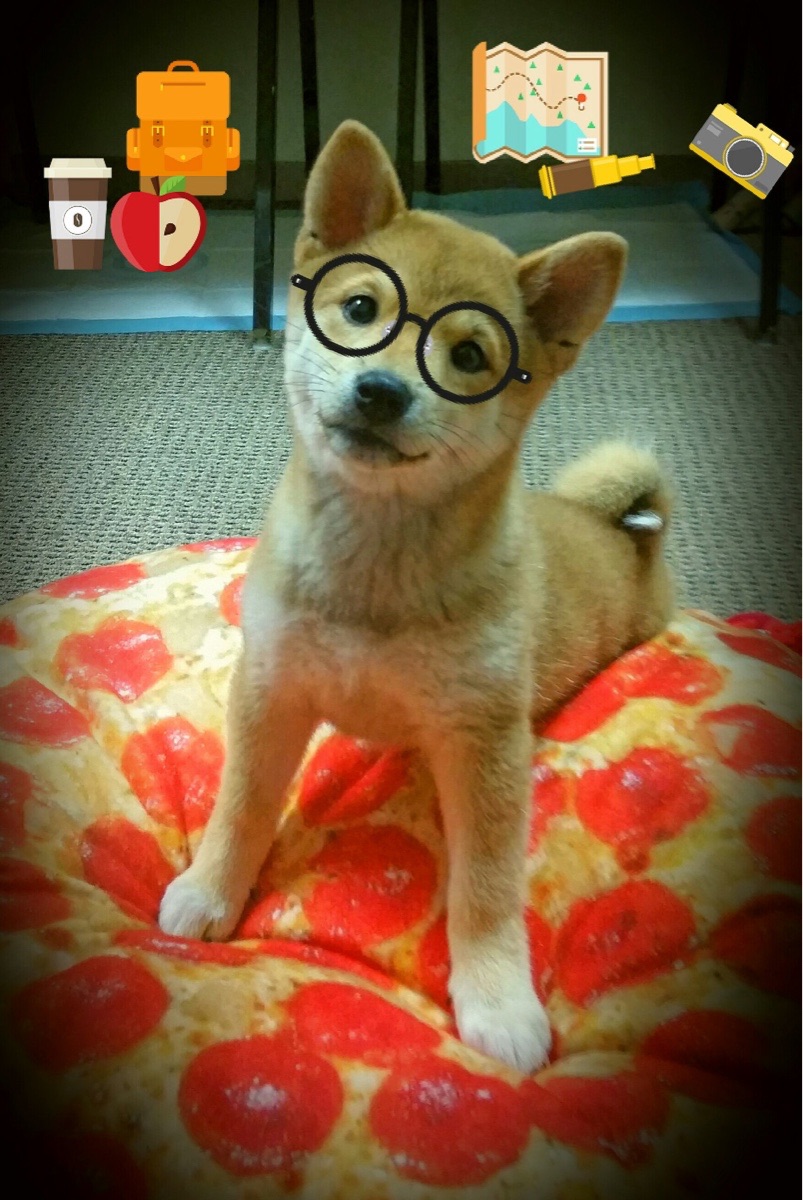 世俱杯官方-贝尔哈德·福特:全黑队的“防守巨星”,让对方攻势无从突破